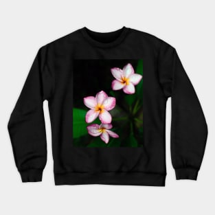 plumeria-flowers-frangipani-floral-white-pink-blossoms-shirtyshirto-34 Crewneck Sweatshirt